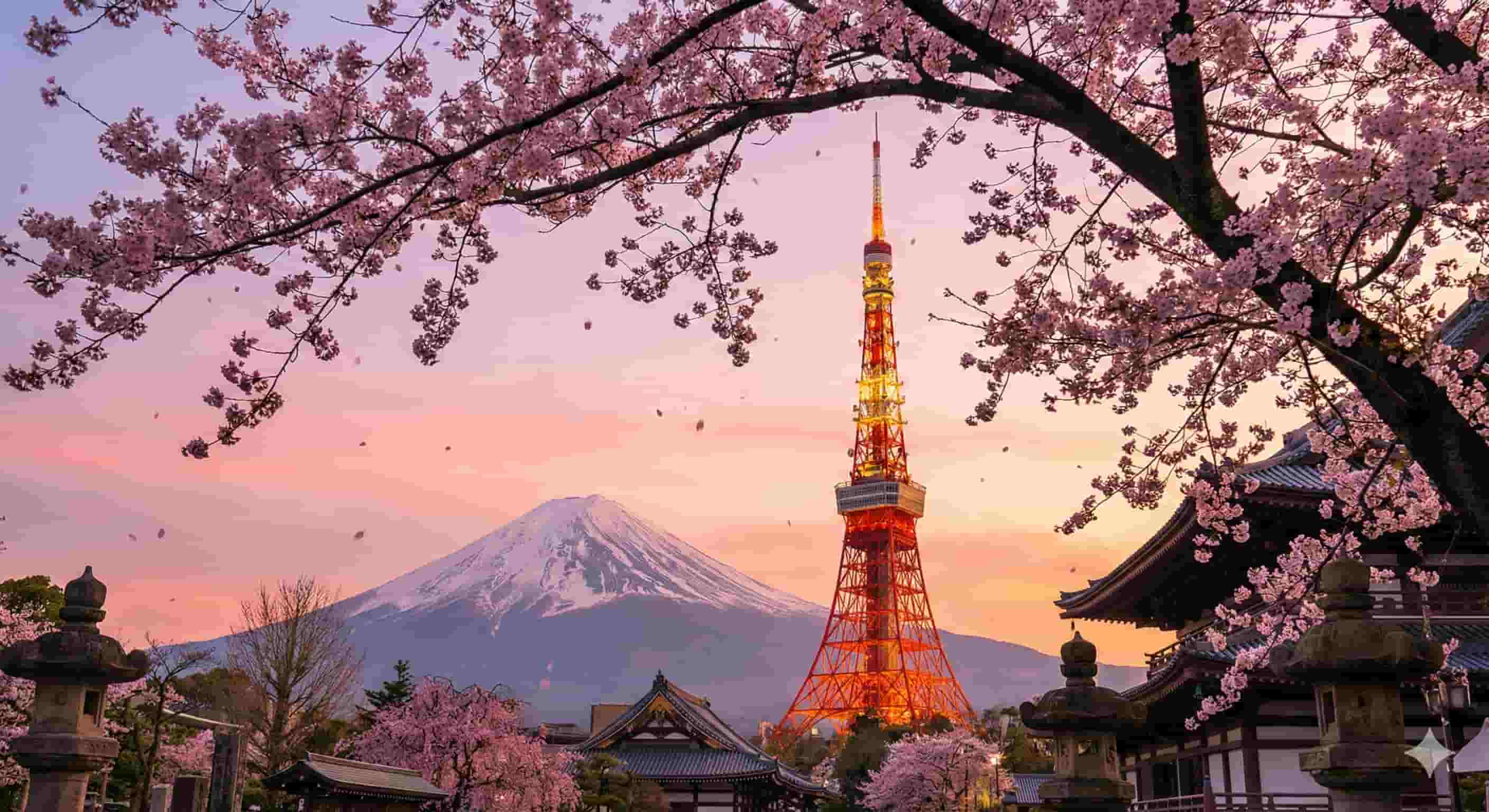A scenic view of the illuminated Tokyo Tower and snow-capped Mount Fuji framed by blooming pink cherry blossom branches and a traditional temple roof at sunset in Japan.