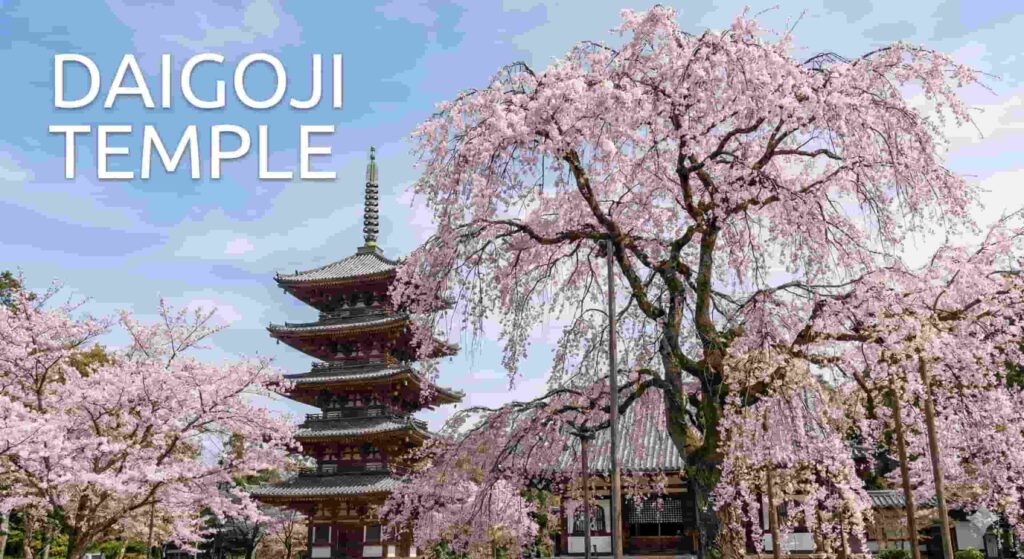 A grand five-storied pagoda at Daigoji Temple towered over by a magnificent, large weeping cherry tree full of pink flowers, with the text "DAIGOJI TEMPLE" in the top left.