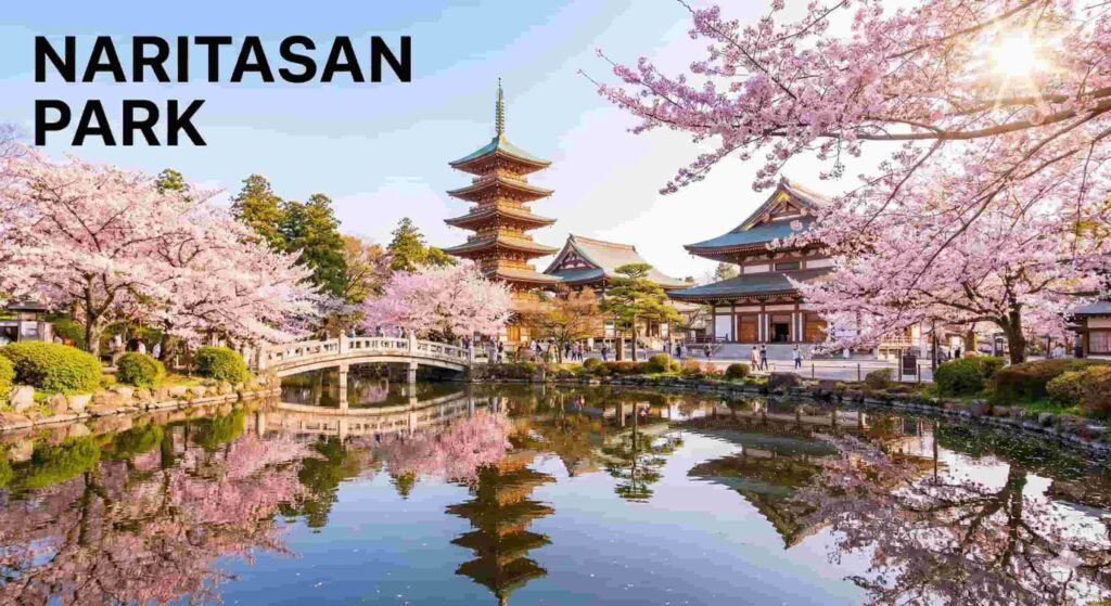 Landscape of Naritasan Park featuring a pond, a five-story pagoda, and cherry blossoms in full bloom. The text "NARITASAN PARK" is displayed in the top left corner.