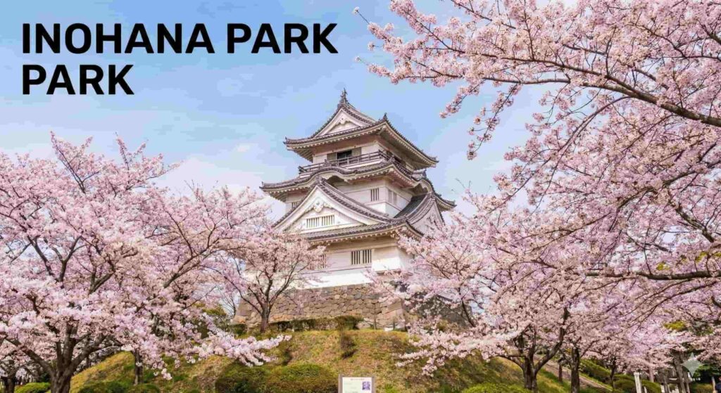 Chiba Castle (Chiba City Folk Museum) standing on a hill at Inohana Park, surrounded by blooming cherry blossoms. The text "INOHANA PARK" is displayed in the top left corner.
