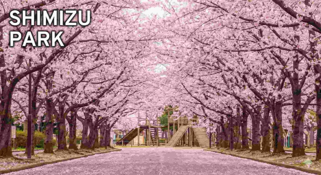 A tunnel of cherry blossoms covering the walking path at Shimizu Park, with wooden athletic playground equipment visible in the background. The text "SHIMIZU PARK" is displayed in the top left corner.