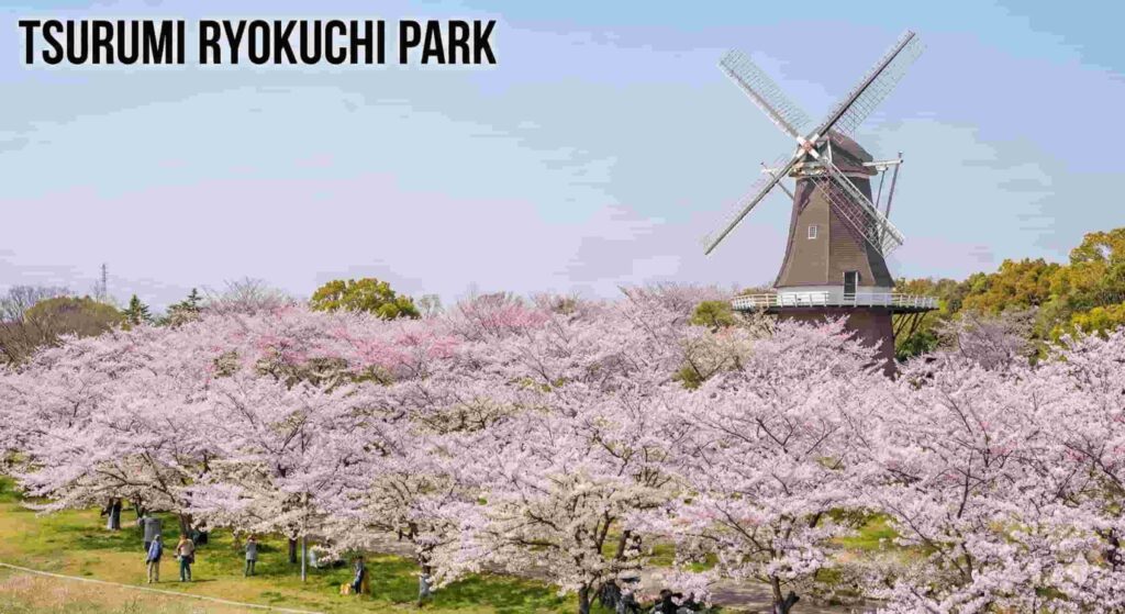 A large Dutch-style windmill surrounded by a field of pink cherry blossoms and tulips under a blue sky.