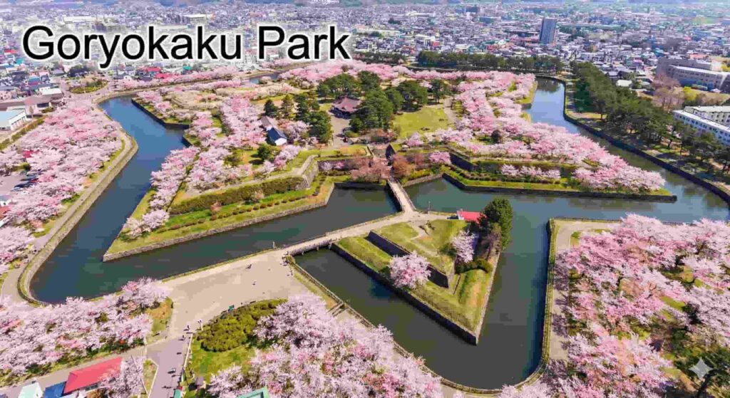 Star-shaped Goryokaku Fort surrounded by pink cherry blossoms viewed from above.